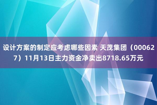 设计方案的制定应考虑哪些因素 天茂集团（000627）11月13日主力资金净卖出8718.65万元