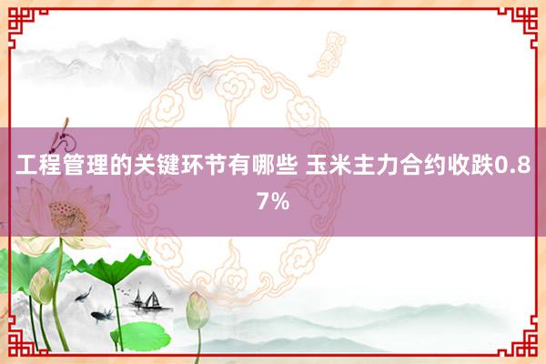 工程管理的关键环节有哪些 玉米主力合约收跌0.87%