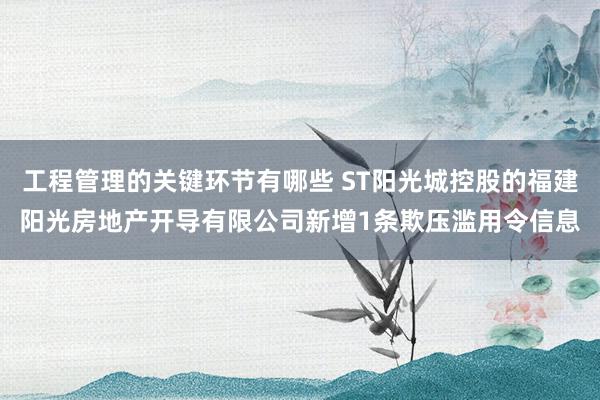 工程管理的关键环节有哪些 ST阳光城控股的福建阳光房地产开导有限公司新增1条欺压滥用令信息