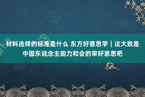 材料选择的标准是什么 东方好意思学｜这大致是中国东说念主能力和会的审好意思吧