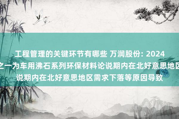 工程管理的关键环节有哪些 万润股份: 2024年收入下落主要原因之一为车用沸石系列环保材料论说期内在北好意思地区需求下落等原因导致