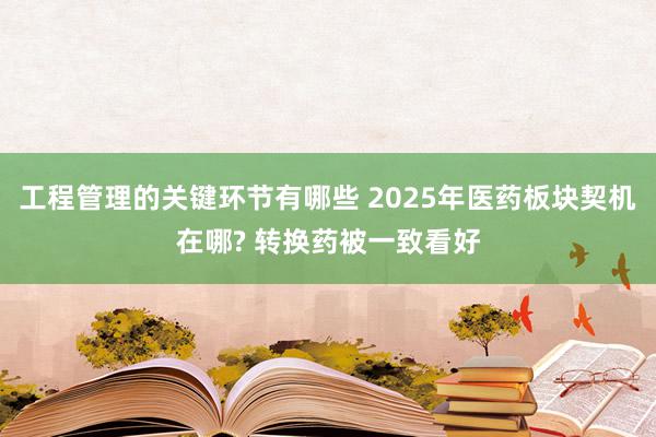 工程管理的关键环节有哪些 2025年医药板块契机在哪? 转换药被一致看好