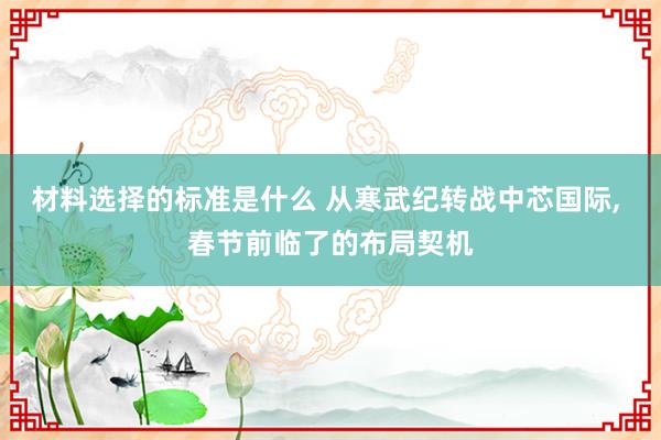 材料选择的标准是什么 从寒武纪转战中芯国际, 春节前临了的布局契机