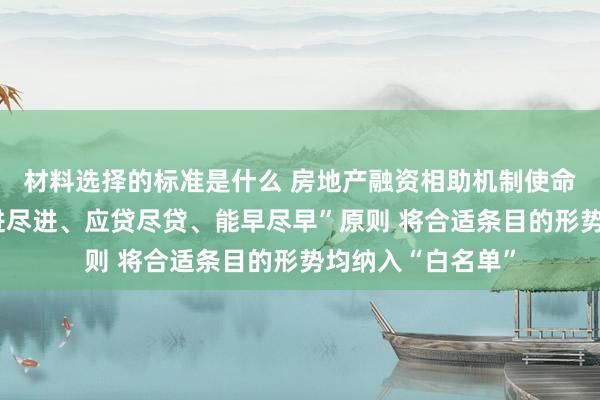 材料选择的标准是什么 房地产融资相助机制使命专班：按照“应进尽进、应贷尽贷、能早尽早”原则 将合适条目的形势均纳入“白名单”